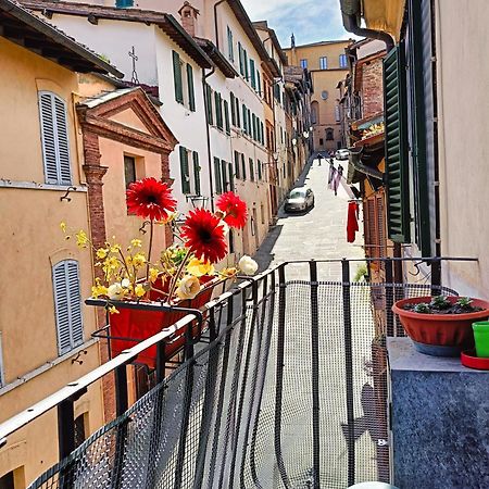 La Campanina-Nel Cuore Di Siena E Della Contrada Exterior foto