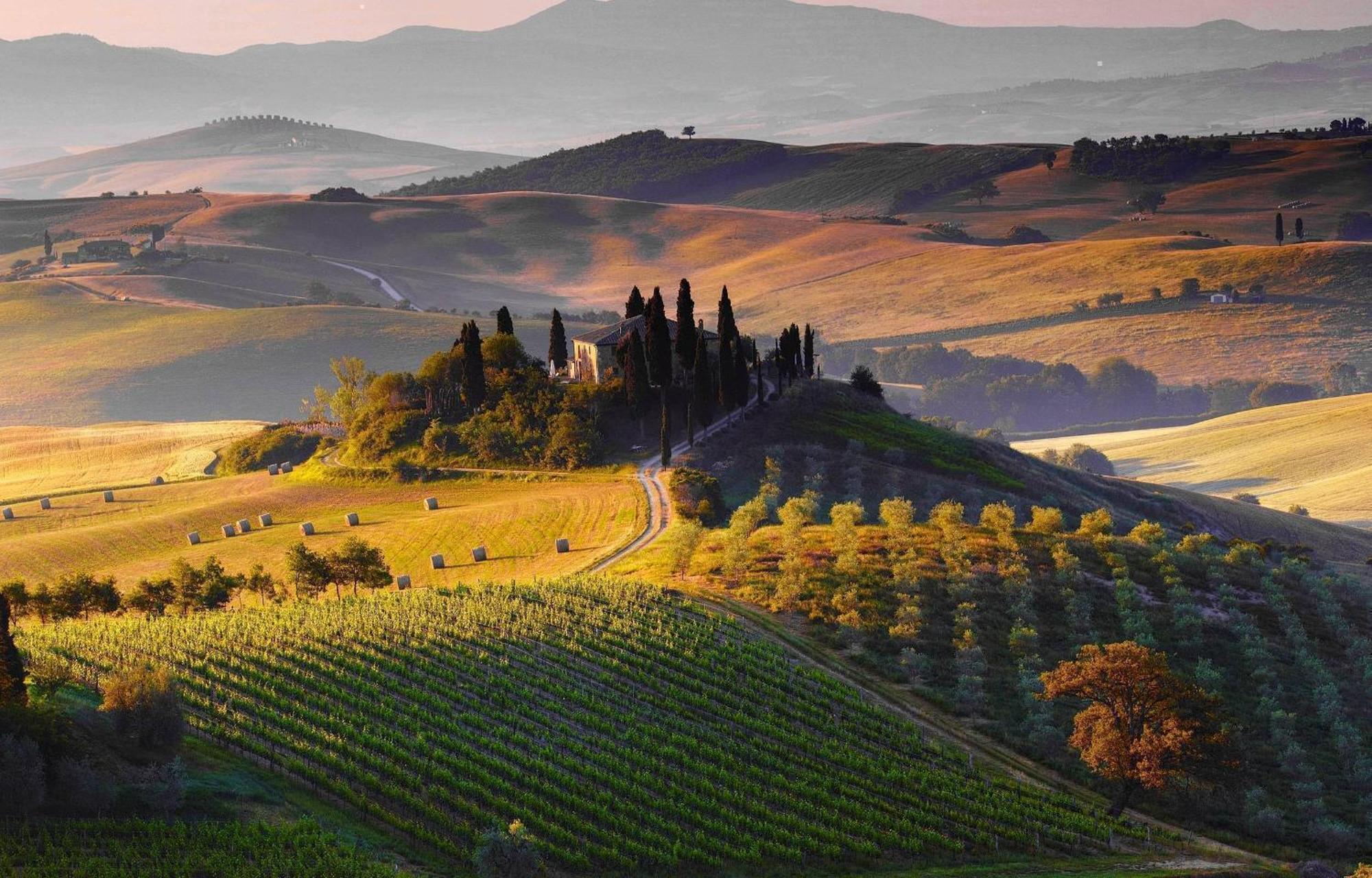 La Campanina-Nel Cuore Di Siena E Della Contrada Exterior foto